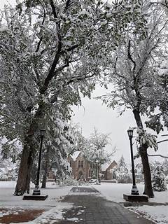 Dazzling Snowstorm Transforms Colorado Springs Co Into A Winter Paradise