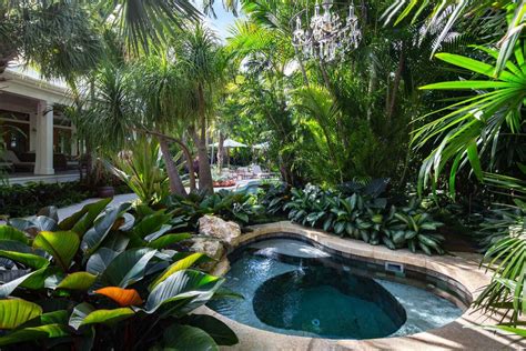 License To Chill — Craig Reynolds Landscape Architects Tropical