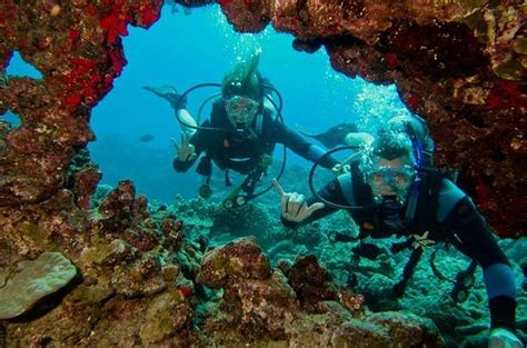 If the student is able to answer no to all questions on the form, then they will not be required to have a physicians' signature for diving. Maui Certified Scuba Diving Tour provided by Extended ...