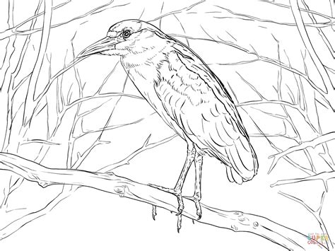 Explore nathan schmidts board fortnite on pinterest. Black Crowned Night Heron coloring page | Free Printable ...