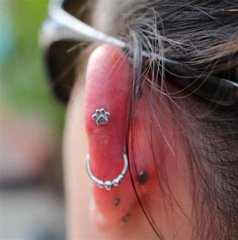 Insanely Cool Ear Piercing Ideas That Ll Have You Rolling Up To