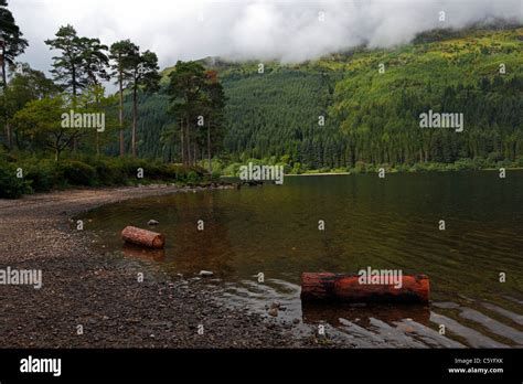 Loch Eck In The Argyll Forest Park In Scotland Uk Stock Photo Alamy