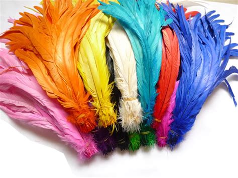 10 Pcs Bulk Natural Rooster Feathers Colorful Cheap Feathers For Crafts
