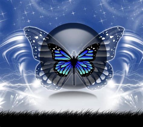 Butterfly Moon Wallpapers On Wallpaperdog