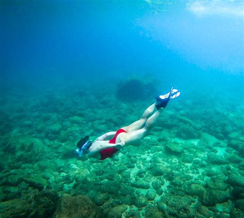 Best Snorkeling In Oahu 6 Not To Miss Places To Explore Uprooted