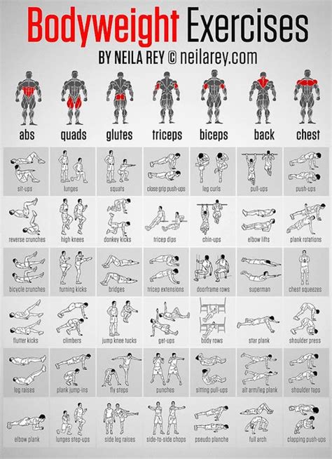 Infographic 42 Illustrated Workouts To Tone Up Different Parts Of The