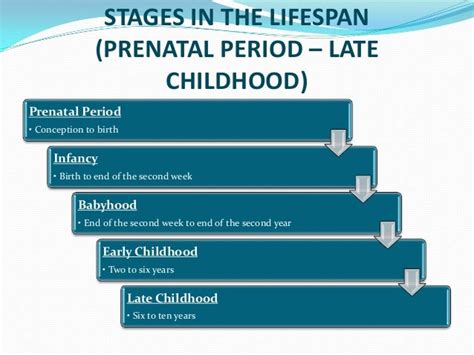 Characteristics Of Infancy Babyhood Early And Late Childhood In Lif