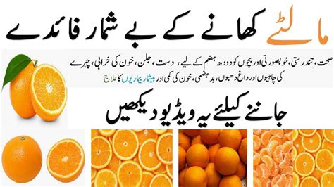 Orange Health Benefits In Urdusantara Ke Fayde Youtube
