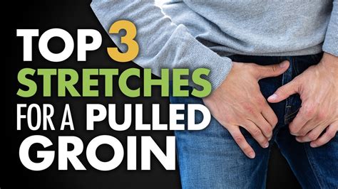Pulled Groin Muscle Anatomy Exercises For Pulled Groin Muscles Exercise How To Last