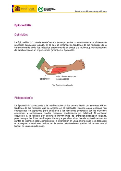 Epicondilitis Fig Anatom A Del Codo Fisiopatolog A La Epicondilitis
