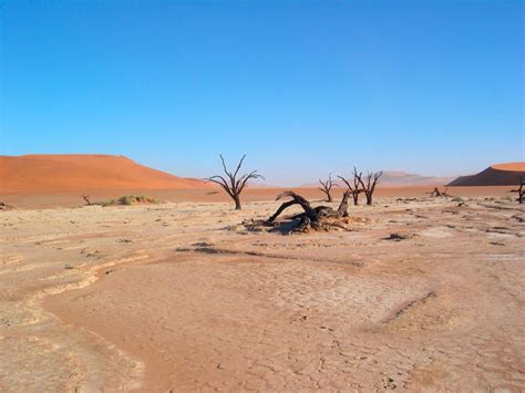 Extreme Environments Pgce Geography Classroom