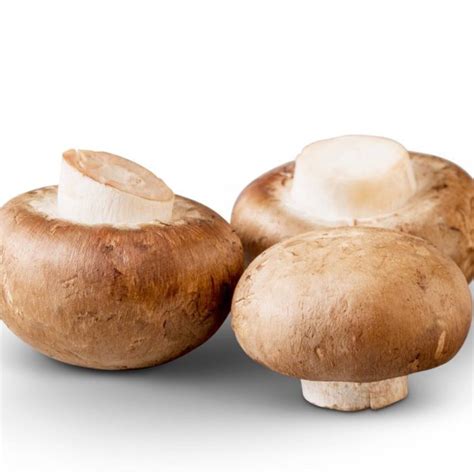 Crimini Mushrooms Mushroom Varieties 101