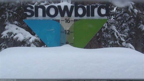 10 Of Powder At Snowbird Ut Today Snow Forecasted All Week Snowbrains