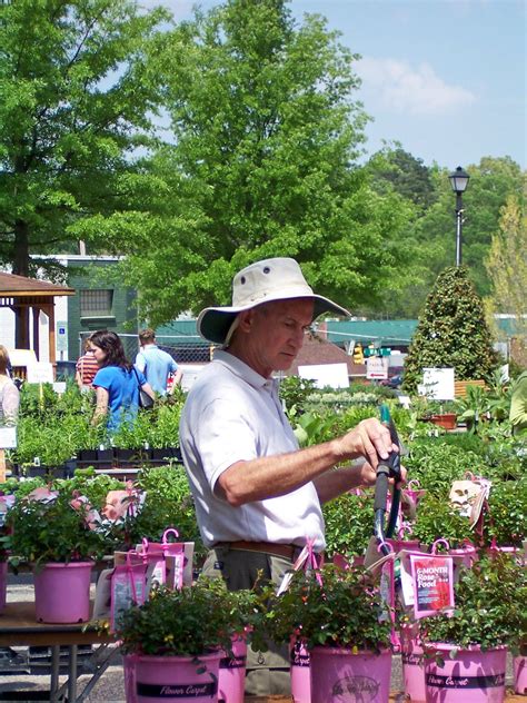 Herbfest Co Founder Bob Johnson Arranging Herb Plants For Flickr