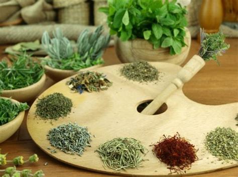 Four Basic Herbs Used In Cooking