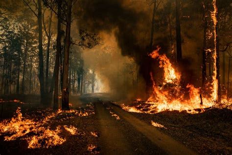 Australian Fire Officials Say The Worst Is Yet To Come The New York Times
