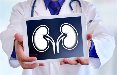 Nephroptosis Symptoms Causes Treatment And More New Life Ticket