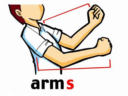 Parts Arms Corpo Imprimir Imagens Human