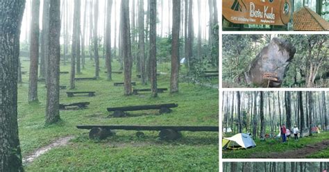 Batu Kuda Wisata Kesejukan Hutan Pinus Di Bandung Timur