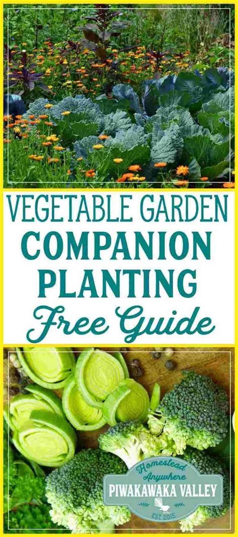 Some will bloom later in the season, and others will make their beautiful debut in the. #vegetables #companion #planting #chart #herbs #for # ...