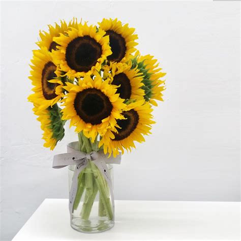 What is the color of hope? Flower Meaning Strength And Hope - Idalias Salon
