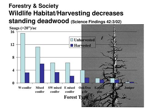 Ppt Forestry And Society Wildlife Habitat Powerpoint Presentation Id