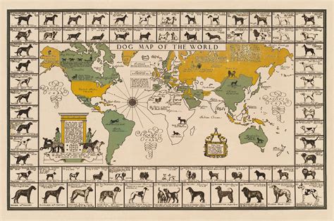 1935 Dog Map Of The World Dog Breeds Print Dog Breeds Origin Etsy Canada