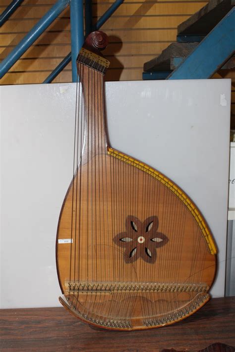 Unusual Stringed Instrument With Large Bowl And Multiple Strings