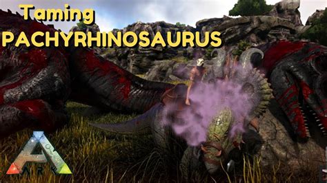 Ark Taming A Pachyrhinosaurus Youtube