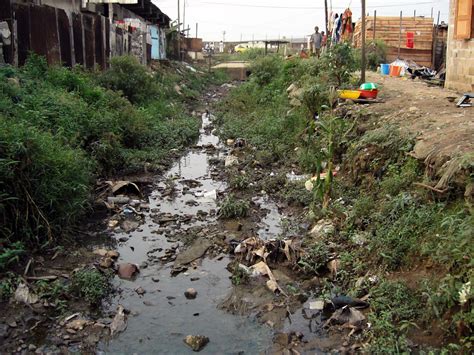 Cholera A Public Health Threat That Still Causes Devastating Outbreaks News From The Institut
