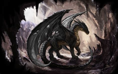 Cool Dragons Wallpaper 59 Pictures