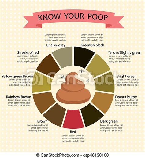 Poop Stool Color Changes Color Chart And Meaning Healthy Concept
