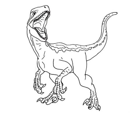 Jurassic World Velociraptor Coloring Page Download Print Or Color