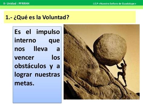 Voluntad 1