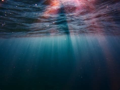 Underwater · Free Stock Photo