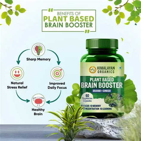Himalayan Organics Plant Based Brain Booster Supplement With Ginkgo