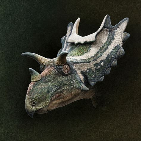 ceratopsian faces on behance prehistoric dinosaur fossils dinosaur art