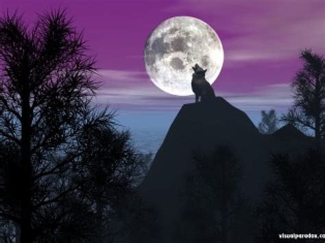Free Download Wolf Howl Full Moon Mountains Silhouette Trees Wolf