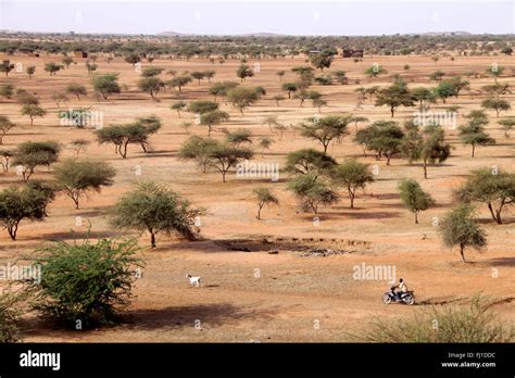 Landscape Of The Sahel Region Near Gorom Gorom Burkina Faso Stock