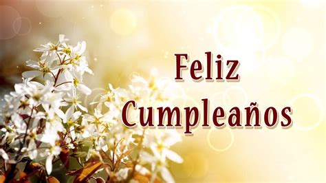 We have a wide variety of birthday flowers that are thoughtful and sweet and always the right choice. Feliz Cumpleaños - Flower Bokeh Animation - Motion ...