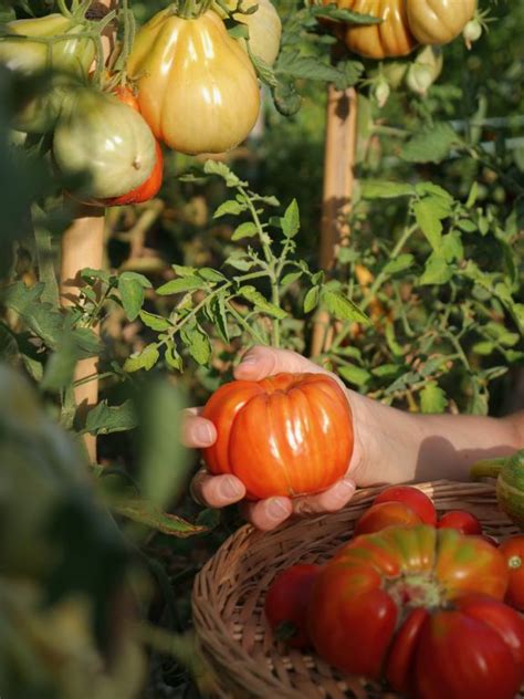I migliori percorsi di in fontecchio, abruzzo (italia). Casa Vacanze In Campagna Alle Vecchie Querce - Fontecchio ...