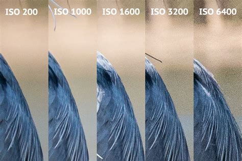 Qué es la ISO en Fotografía y Cómo usarla en una cámara