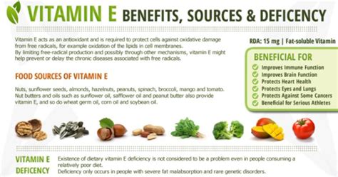 Vitamin E Deficiency Signs Symptoms And Diet Times Lifestyle