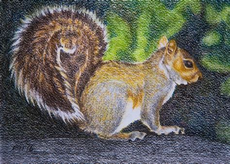 Squirrel Painting Squirrel Art Squirrel Artwork Squirrel Etsy