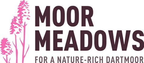 What Is A Meadow Moor Meadows