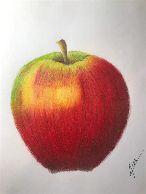 24 Apple Drawing Colour Pencil Alikialaster
