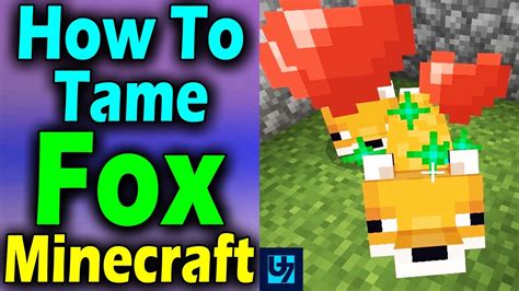 How To Tame Fox Minecraft Youtube