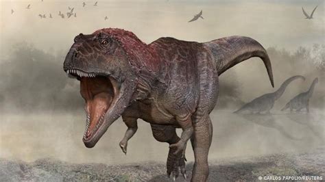 Presentaron un nuevo dinosaurio carnívoro gigante hallado en Neuquén