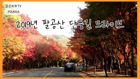 팔공산 단풍길 드라이브 브이로그 ♡ 드뎌 단풍절정 낙엽asmr 20191115 Youtube