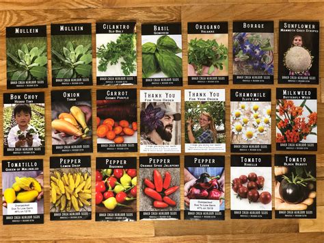 So Excited To Start Sowing All These Beautiful Seeds Zone 6b R